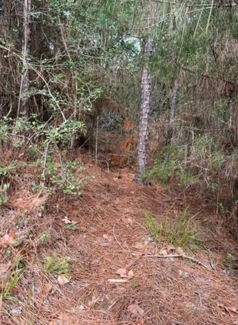 Lot 345 Wainee DR, Bastrop, TX 78602