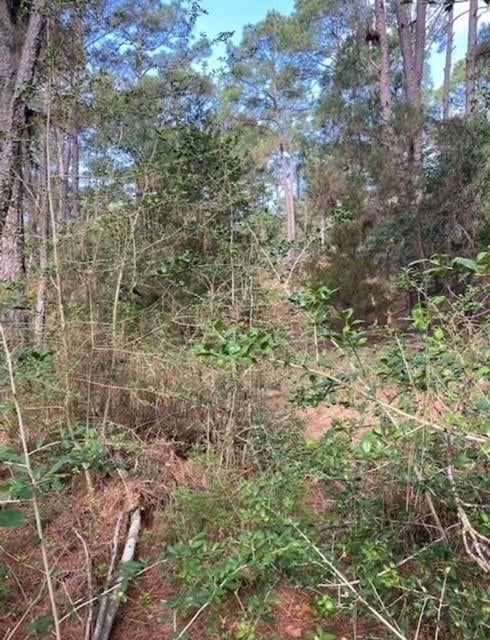 Lot 93 Papawai DR, Bastrop, TX 78602