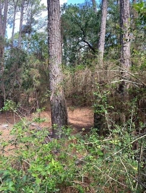 Lot 93 Papawai DR, Bastrop, TX 78602