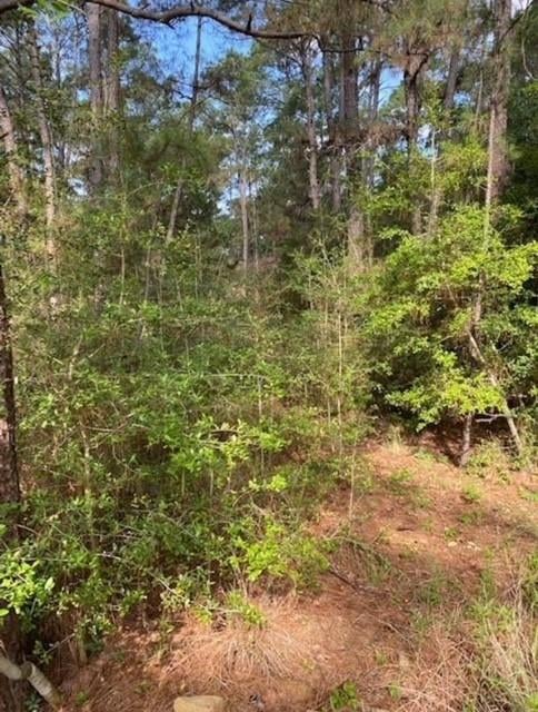 Lot 93 Papawai DR, Bastrop, TX 78602