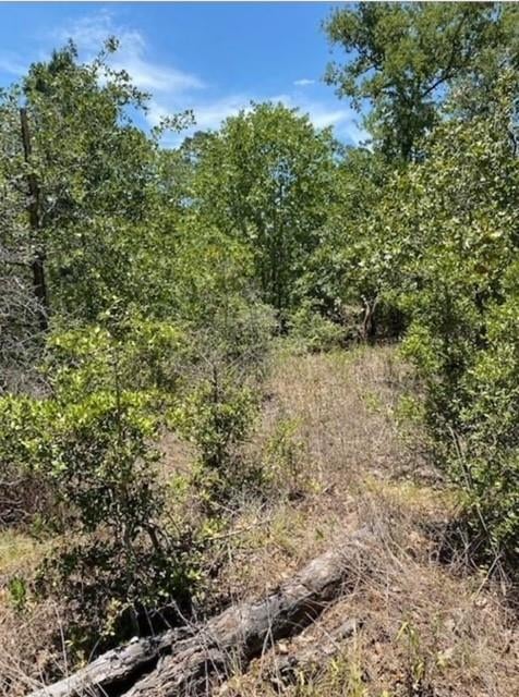 Lot 1123 Koali DR, Bastrop, TX 78602