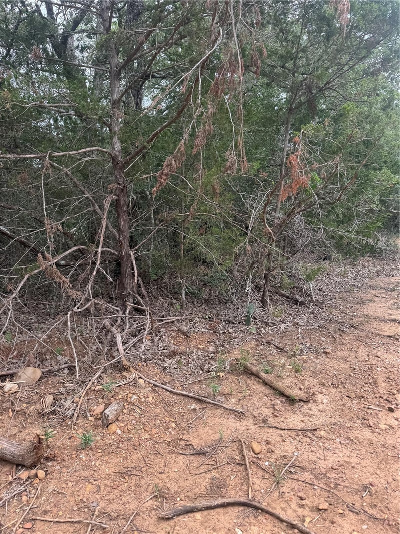 108 Howi LN, Bastrop, TX 78602