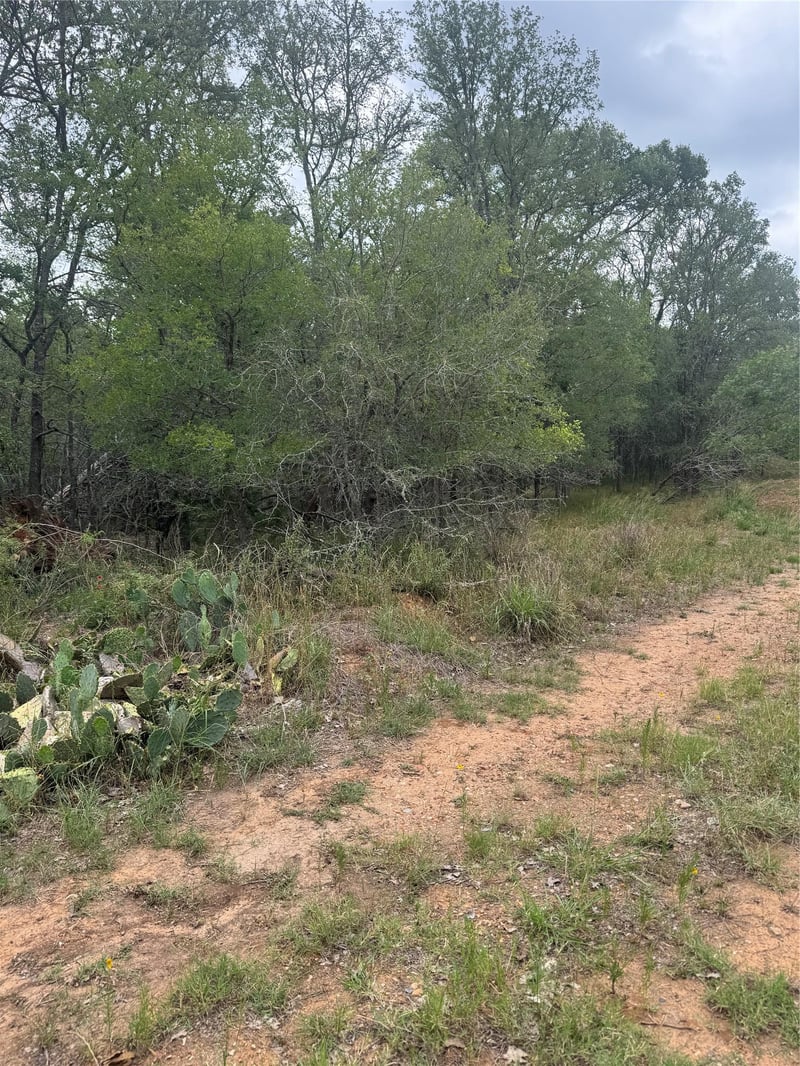 108 Howi LN, Bastrop, TX 78602