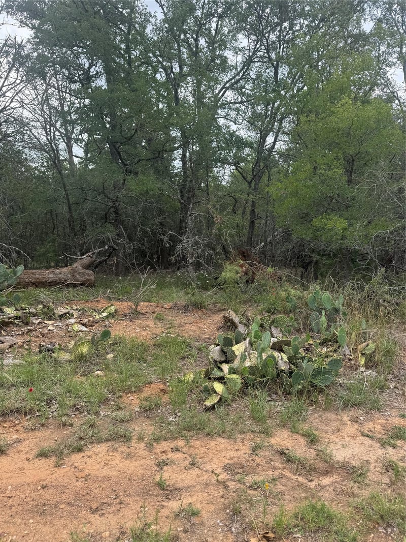 108 Howi LN, Bastrop, TX 78602