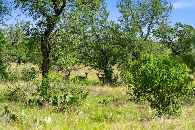 620 Rio Vista RD, Johnson City, TX 78636