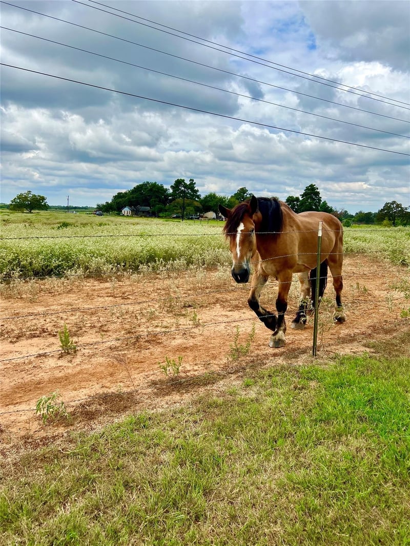 1286 County Road 446, Rockdale, TX 76567