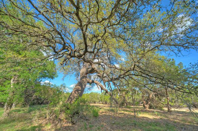 Star Gazer Lot 8 Stargazer DR, Lampasas, TX 76550