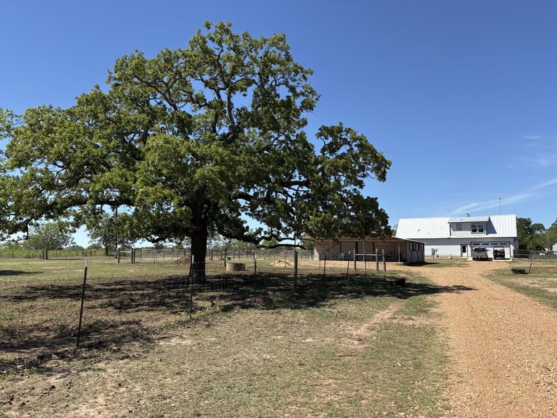 1434 Antioch RD, Paige, TX 78659