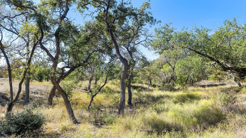 Lot 18 Mesa Ranch RD, Dripping Springs, TX 78620