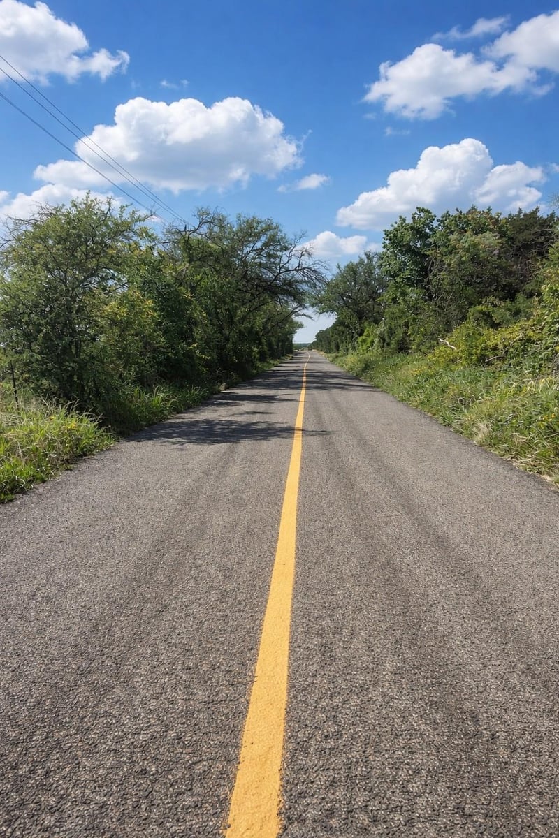 TBD Cr 103 , Lampasas, TX 76550