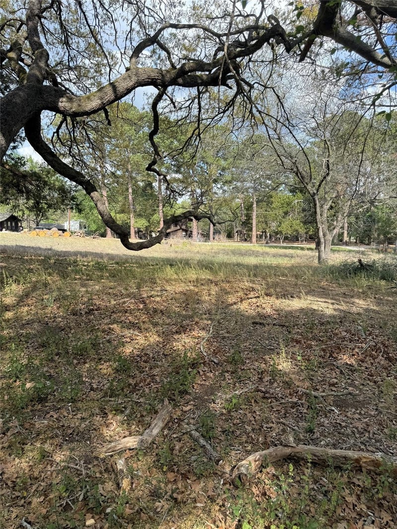 Lots 141 - 142 Pine Song, Bastrop, TX 78602