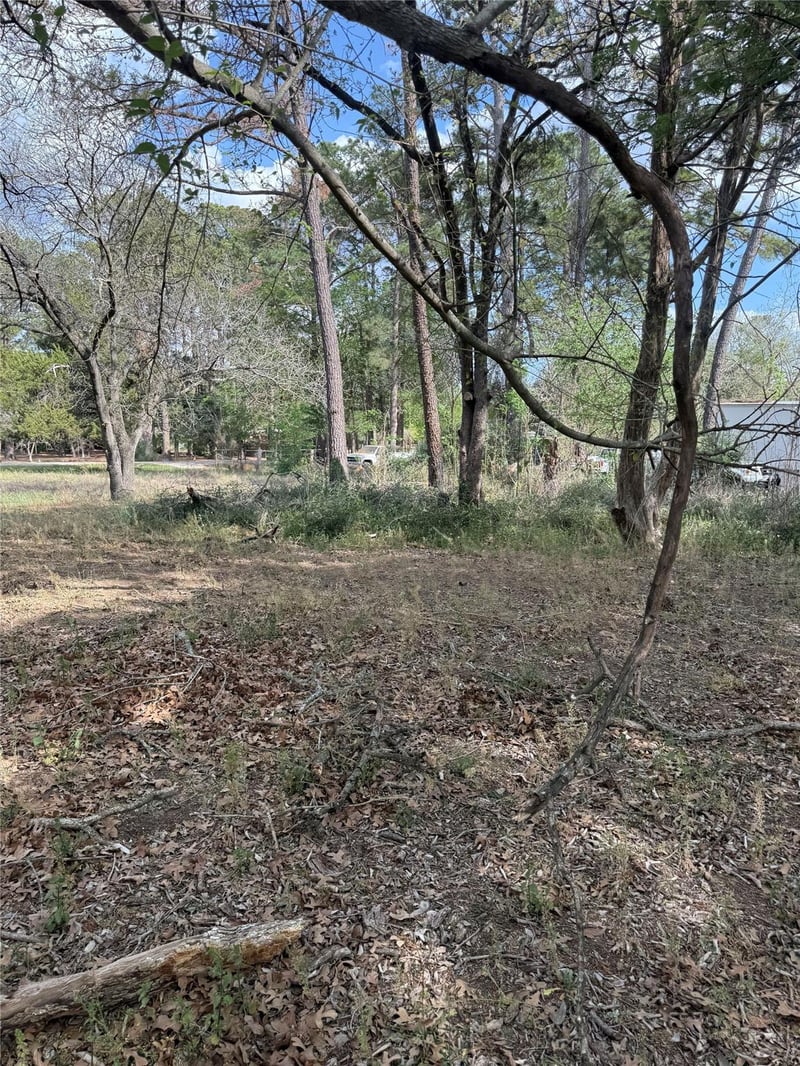 Lots 141 - 142 Pine Song, Bastrop, TX 78602