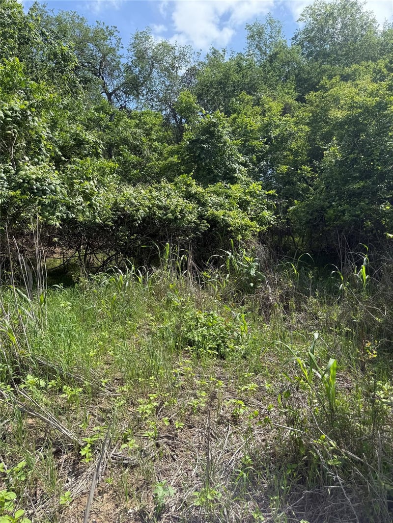 Lot 959 Riverside DR, Bastrop, TX 78602