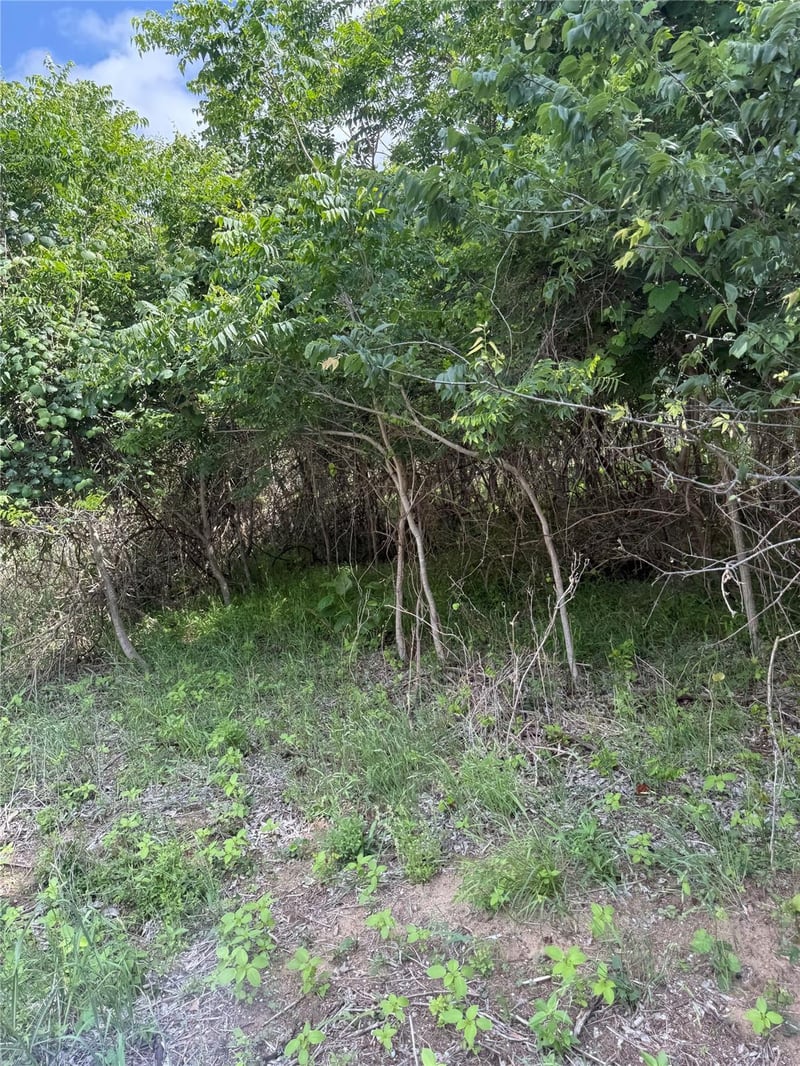 Lot 959 Riverside DR, Bastrop, TX 78602