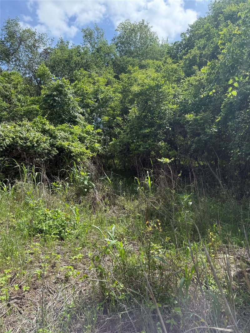 Lot 959 Riverside DR, Bastrop, TX 78602