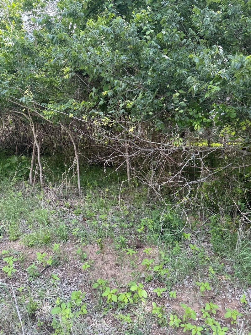 Lot 959 Riverside DR, Bastrop, TX 78602