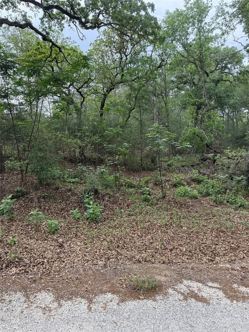 lot 70 Kaelepulu DR, Bastrop, TX 78602