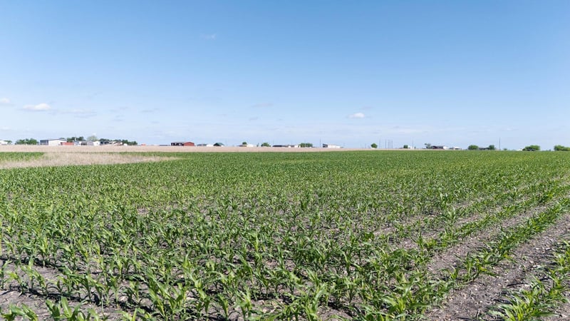 450 County Road 423, Taylor, TX 76574
