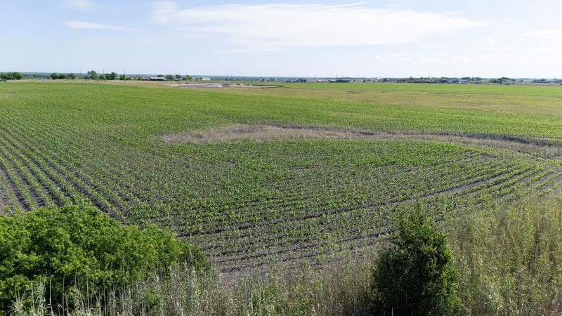 450 County Road 423, Taylor, TX 76574