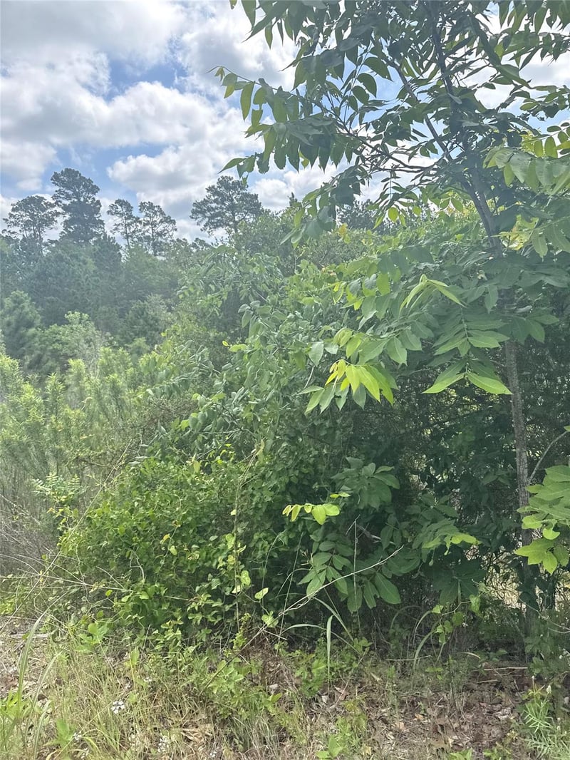 Lot 798 Tahitian DR, Bastrop, TX 78602