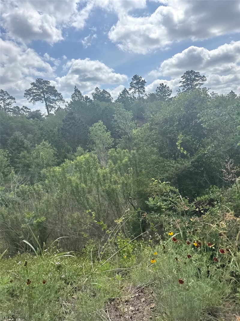 Lot 798 Tahitian DR, Bastrop, TX 78602