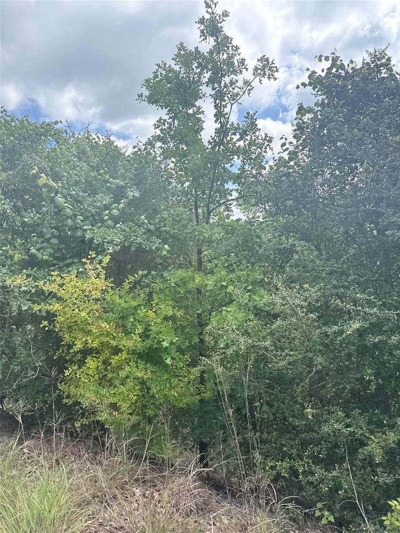 Lot 798 Tahitian DR, Bastrop, TX 78602