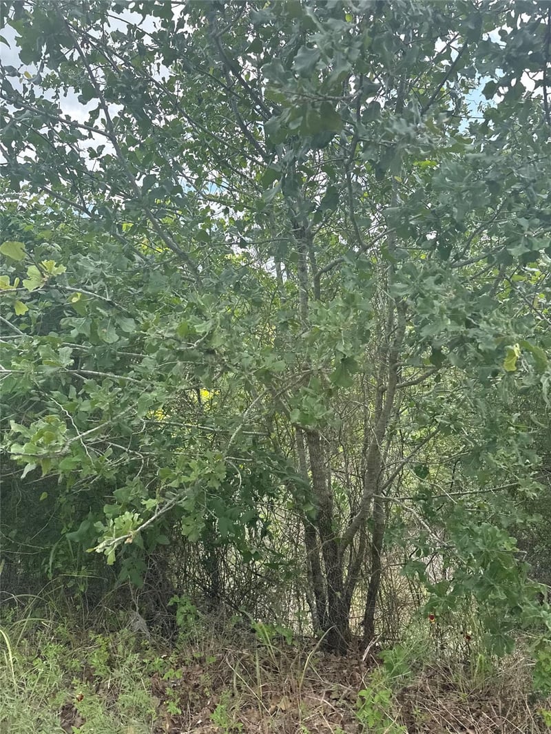 Lot 798 Tahitian DR, Bastrop, TX 78602