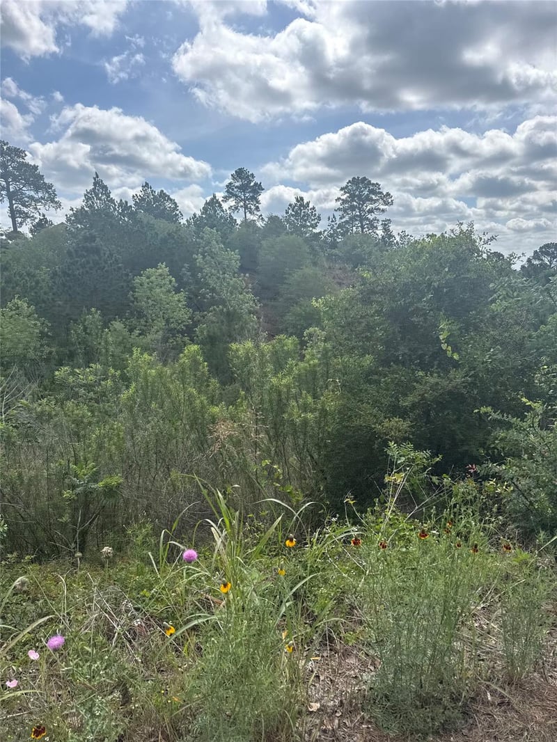 Lot 798 Tahitian DR, Bastrop, TX 78602