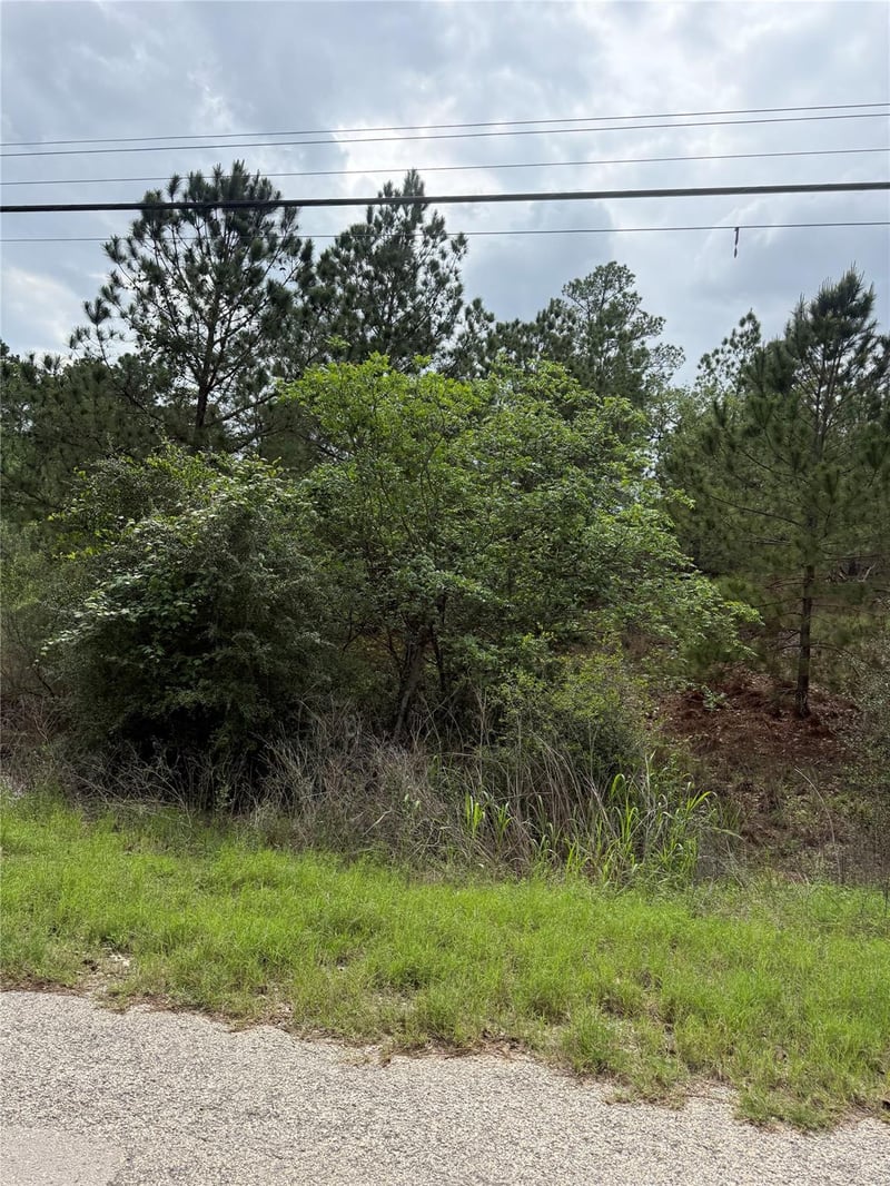 Lot 1360 N Kuapo DR, Bastrop, TX 78602