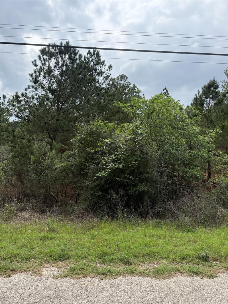 Lot 1360 N Kuapo DR, Bastrop, TX 78602