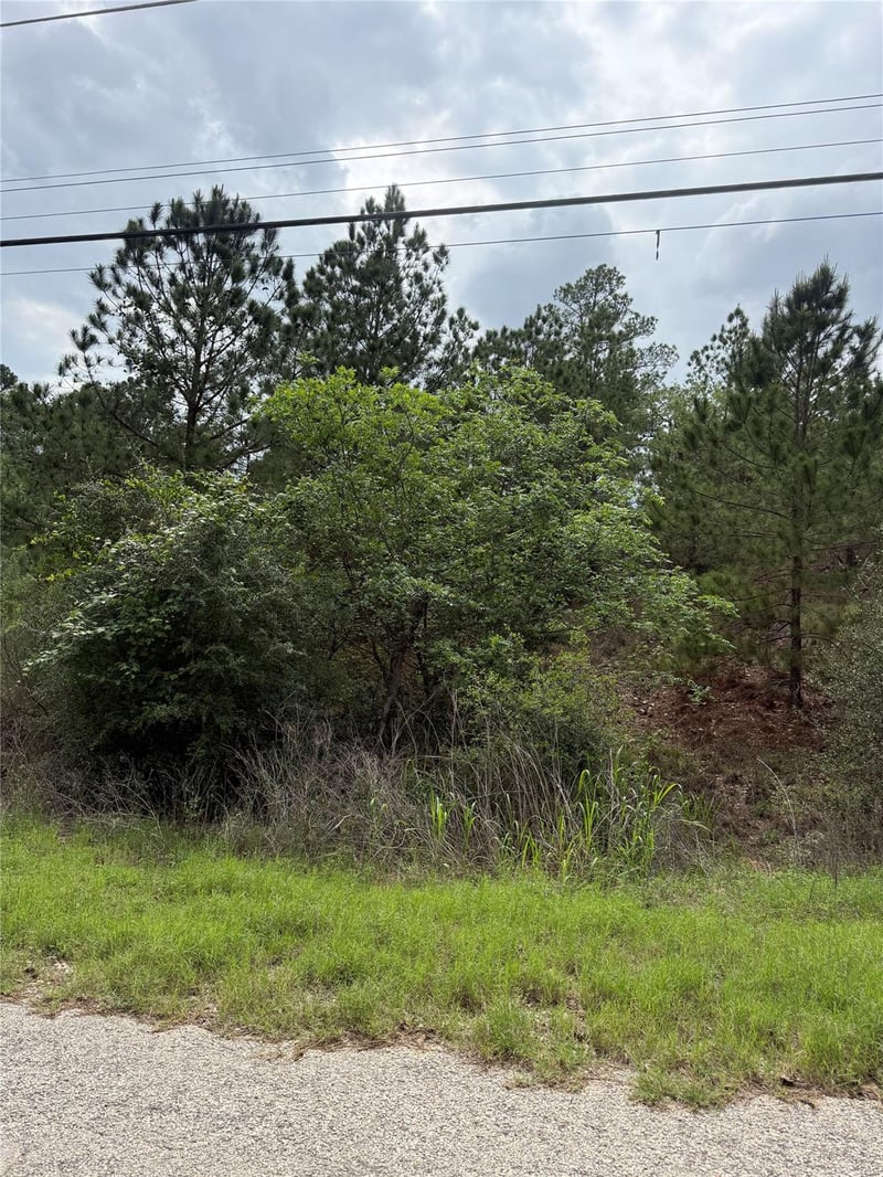 Lot 1360 N Kuapo DR, Bastrop, TX 78602