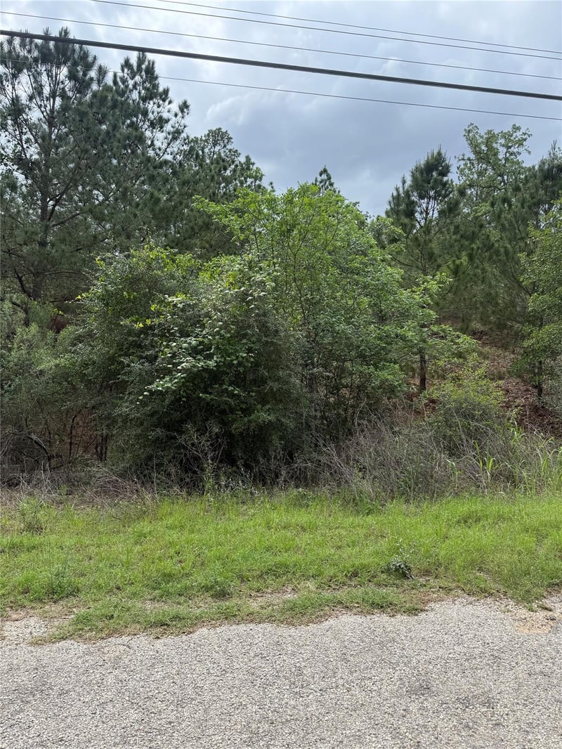 Lot 1360 N Kuapo DR, Bastrop, TX 78602