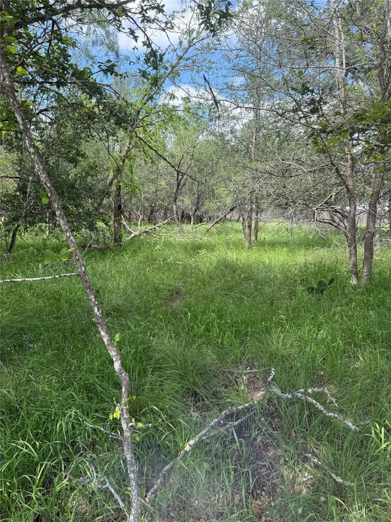 Lot 200 Nene LN, Bastrop, TX 78602