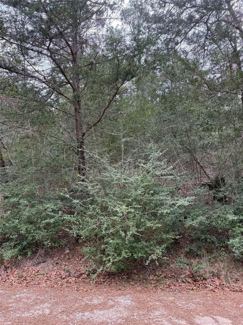 Lot 1428 Keeau CT, Bastrop, TX 78602