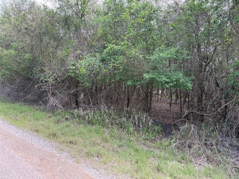 305 Nene LN, Bastrop, TX 78602