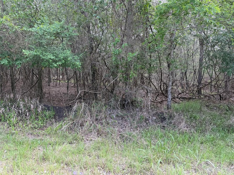 305 Nene LN, Bastrop, TX 78602