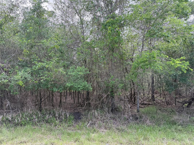 305 Nene LN, Bastrop, TX 78602