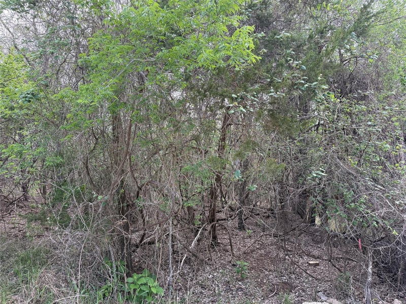 305 Nene LN, Bastrop, TX 78602