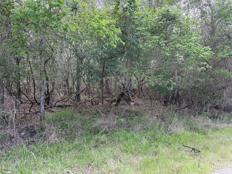 305 Nene LN, Bastrop, TX 78602