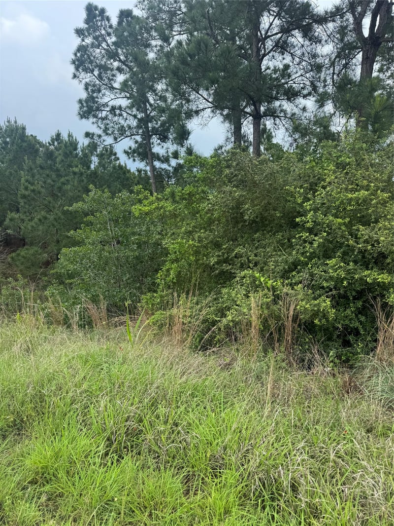 Lot 1613 Kaanapali LN, Bastrop, TX 78602