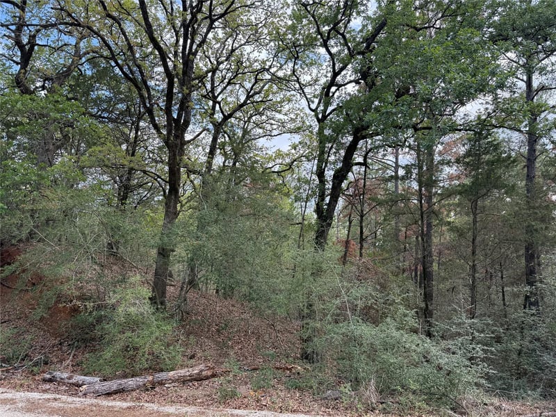 125 Lamaloa LN, Bastrop, TX 78602