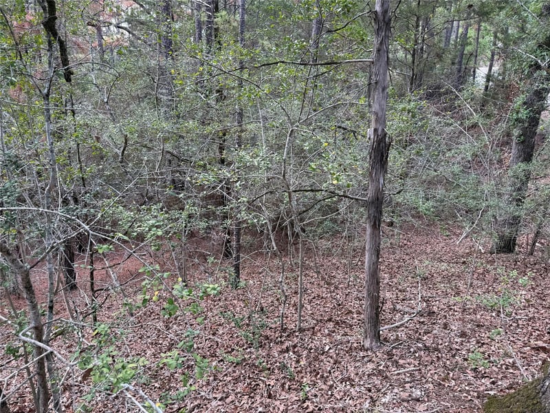 125 Lamaloa LN, Bastrop, TX 78602