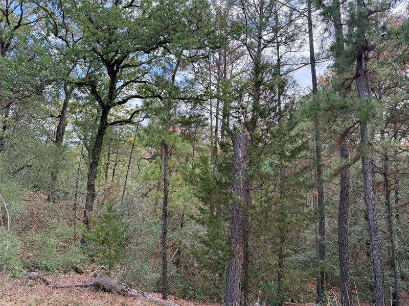 125 Lamaloa LN, Bastrop, TX 78602