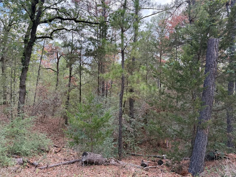 125 Lamaloa LN, Bastrop, TX 78602