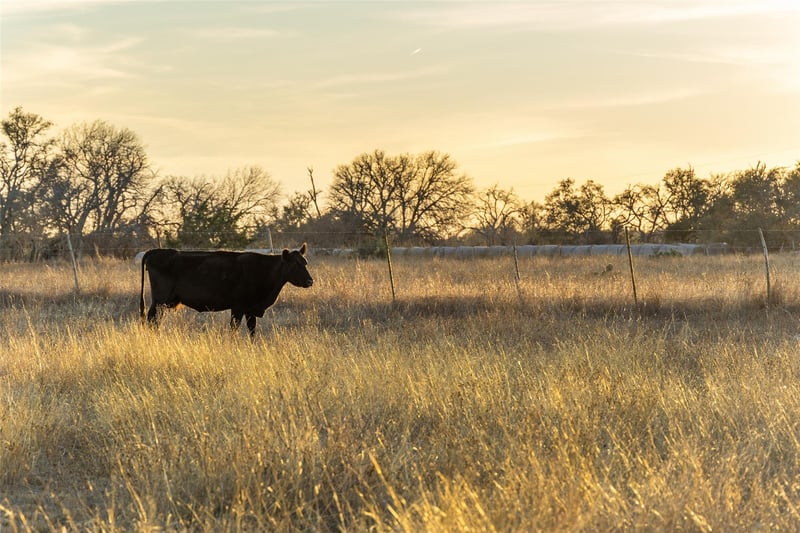 2227 Klein Ahrens RD, Fredericksburg, TX 78624