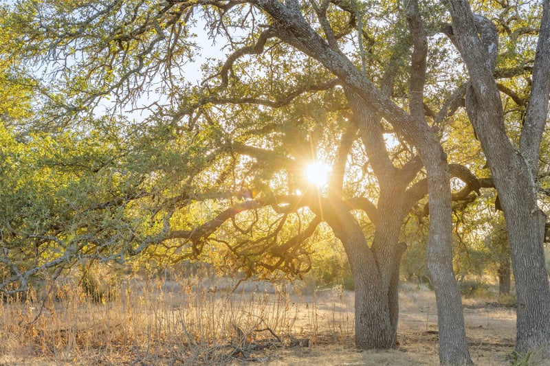 2227 Klein Ahrens RD, Fredericksburg, TX 78624