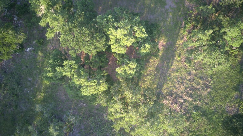 148 Rio Ranch RD, Liberty Hill, TX 78642
