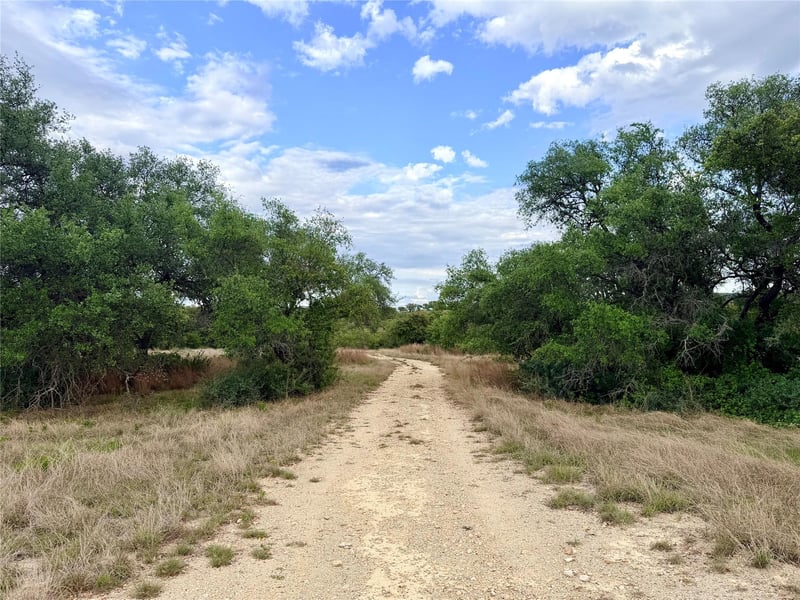 768 Walnut Springs RD, Johnson City, TX 78636