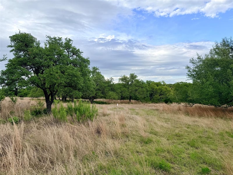 768 Walnut Springs RD, Johnson City, TX 78636