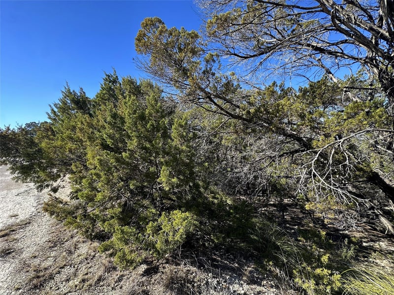 6402 Cimmaron TRL, Leander, TX 78645